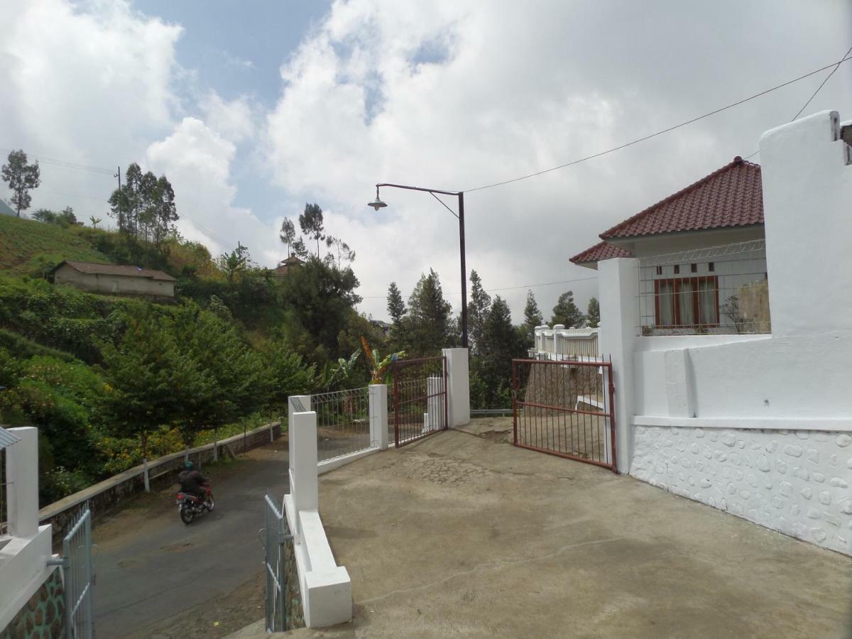 Savana Guesthouse 브로모 외부 사진